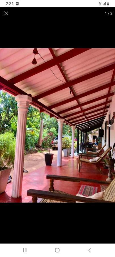 Lake House Homestay อนุราธปุระ ภายนอก รูปภาพ