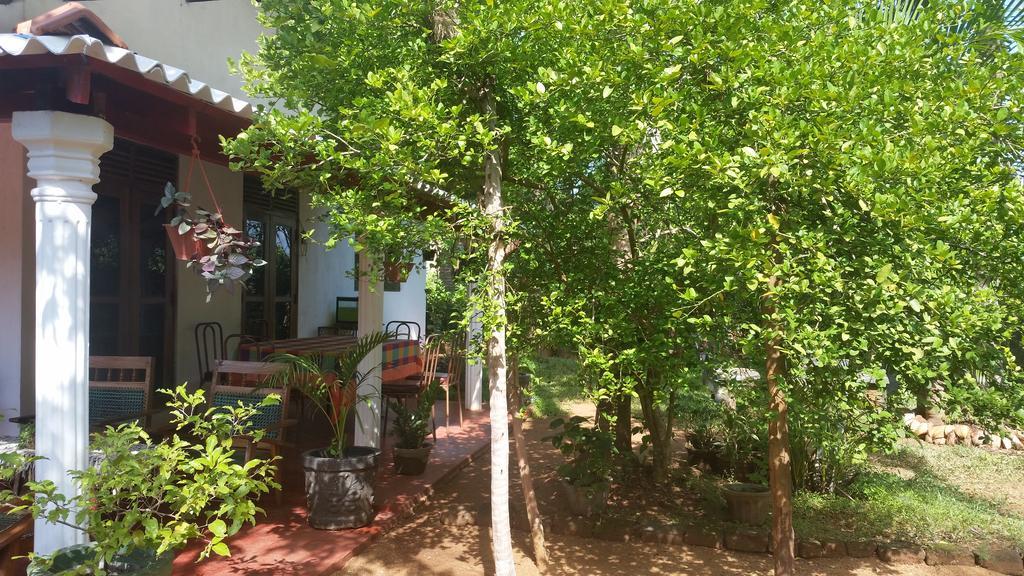 Lake House Homestay อนุราธปุระ ภายนอก รูปภาพ