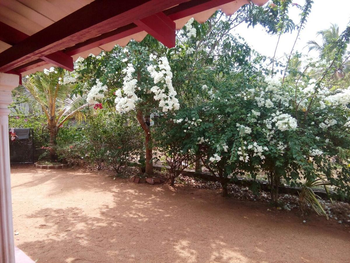 Lake House Homestay อนุราธปุระ ภายนอก รูปภาพ