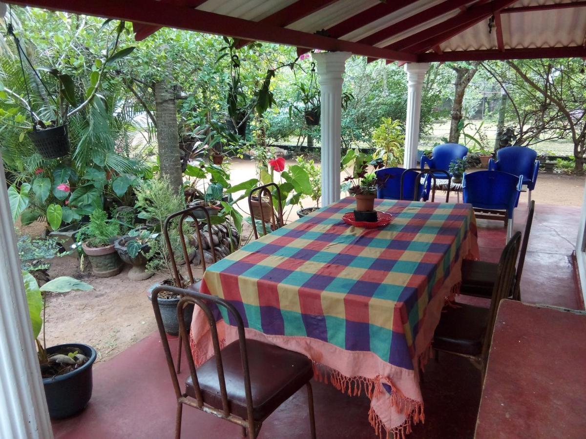 Lake House Homestay อนุราธปุระ ภายนอก รูปภาพ