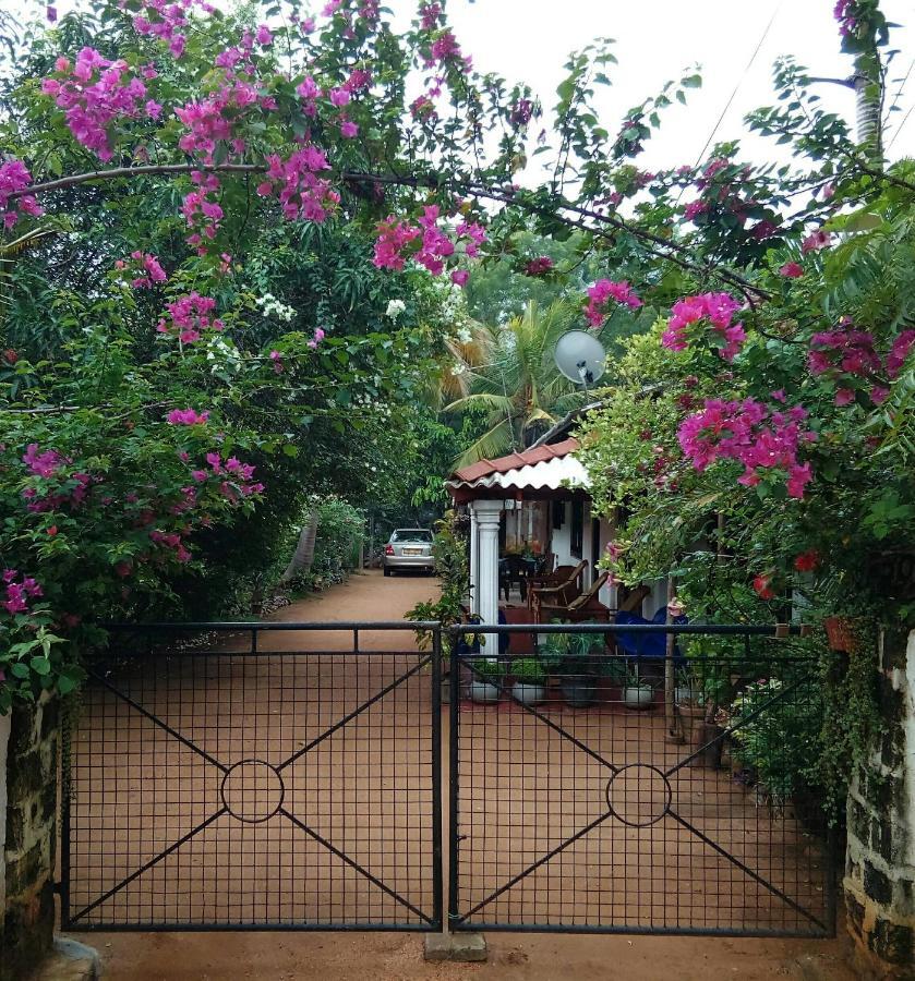 Lake House Homestay อนุราธปุระ ภายนอก รูปภาพ
